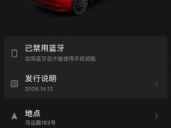 Tesla Model Y Performance All-Wheel Drive - ფოტო 9