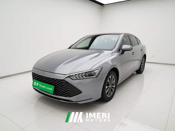 BYD Qin PLUS Glory Edition DM-i 55KM Leading