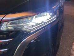 Denza D9 DM-i 1050 Luxury Edition - фото 4