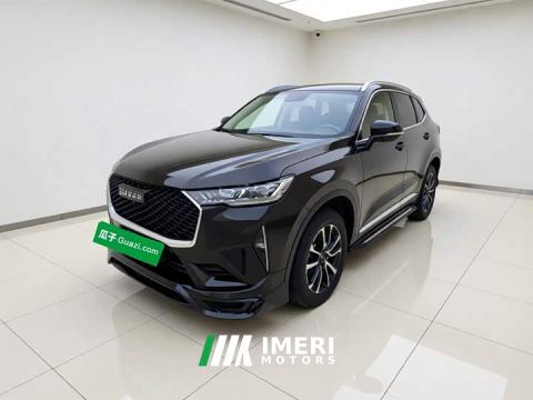 2022 Haval H6 Third Generation 1.5T Automatic Two-Wheel Drive Max - ავტომობილი ჩინეთიდან