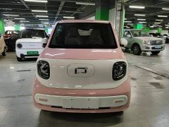 Bestune Besturn Xiaoma 222km Dynamic Edition - photo 2