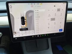 Tesla Model 3 Rear-Wheel Drive - фото 7