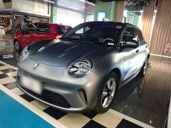 ORA Good Cat 430km Luxury - ფოტო 1