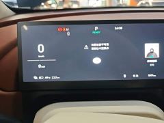 ORA Good Cat 430km Luxury - ფოტო 11