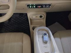 ORA Good Cat 430km Luxury - ფოტო 13