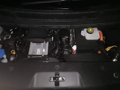 Denza D9 DM-i Smart Drive 1020 AWD Premium - фото 10