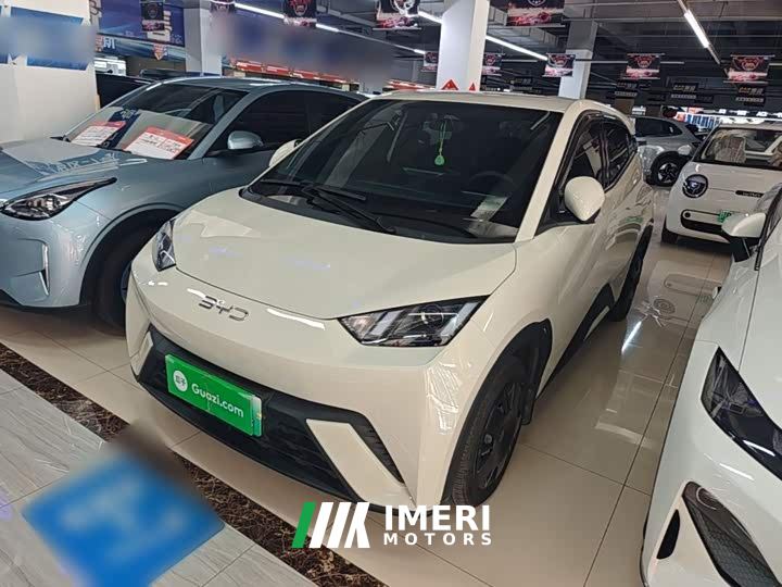BYD Seagull 305km Vitality Edition