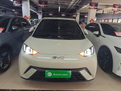 BYD Seagull 305km Vitality Edition - ფოტო 2