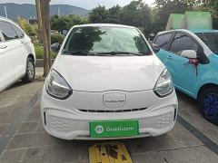Roewe Clever 311km Vitality Pop Edition - ფოტო 2
