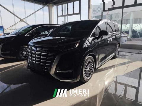2025 Denza D9 DM-i 980 AWD Luxury