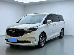 Buick GL8 ES Land Respect 653T Premier - ფოტო 1