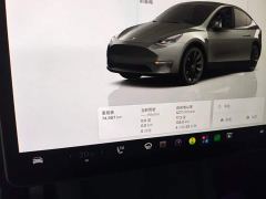 Tesla Model Y Long Range All-Wheel Drive - ფოტო 11