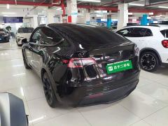 Tesla Model Y Long Range All-Wheel Drive - ფოტო 4