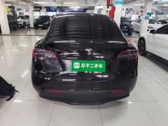 Tesla Model Y Long Range All-Wheel Drive - ფოტო 5