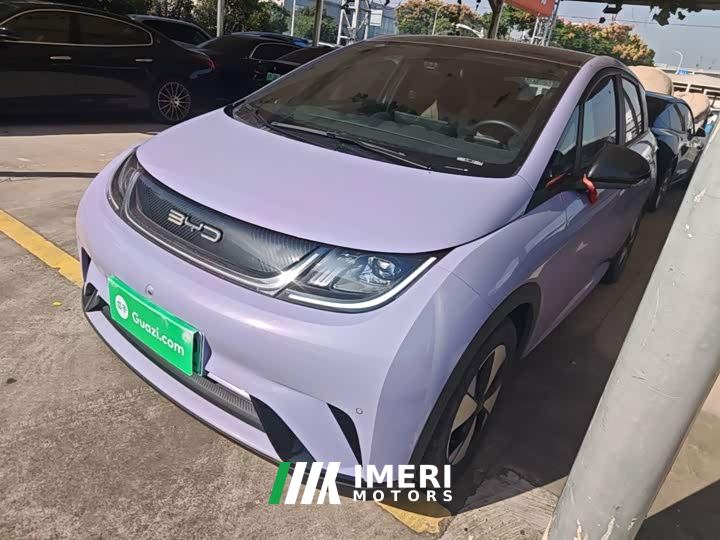 BYD Dolphin 420km Fashion Edition