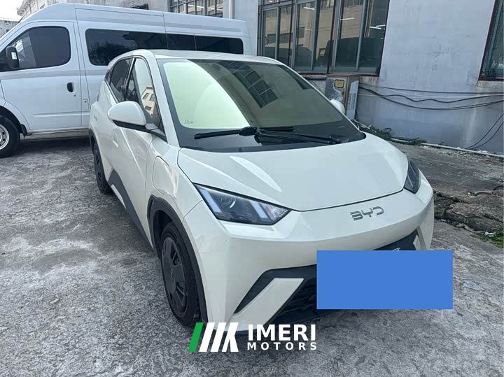 BYD Seagull Glory Edition 305km Vitality Version