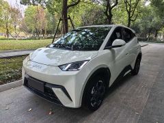 BYD Seagull Glory Edition 305km Freedom Version - photo 2