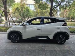BYD Seagull Glory Edition 305km Freedom Version - photo 3