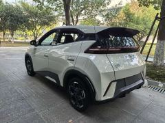 BYD Seagull Glory Edition 305km Freedom Version - photo 4