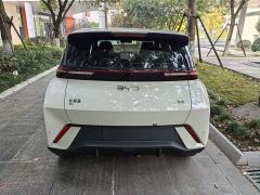 BYD Seagull Glory Edition 305km Freedom Version - photo 5