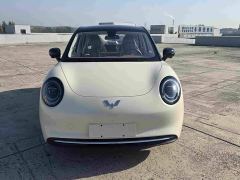 Wuling Bingguo S 325km Deluxe Edition - photo 2