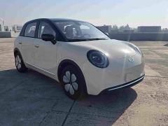 Wuling Bingguo S 325km Deluxe Edition - photo 3