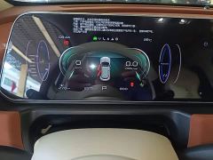 ORA Good Cat 401km Deluxe 135kW - ფოტო 11