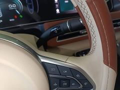 ORA Good Cat 401km Deluxe 135kW - ფოტო 13