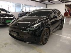 Tesla Model Y Rear-Wheel Drive - photo 1