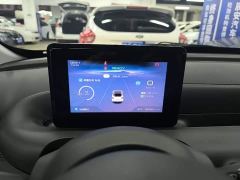 Wuling Binguo 203km Light Enjoy Edition - photo 11