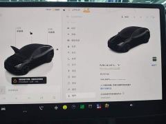 Tesla Model Y Performance All-Wheel Drive - ფოტო 11
