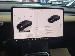 Tesla Model Y Performance All-Wheel Drive - ფოტო 12