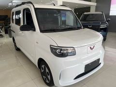 Wuling Zhiguang New Energy 305km Aspiring Edition - ფოტო 3