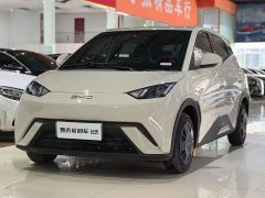 BYD Seagull Smart Drive 305km Vitality Edition - photo 1