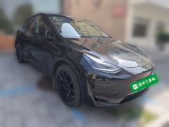 Tesla Model Y 545km Rear-Wheel Drive Edition - фото 3