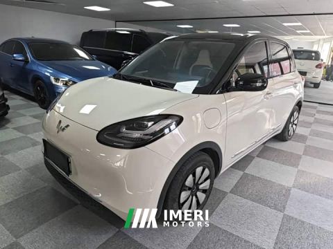 2024 Wuling Binguo 333km Joy Edition - car from China