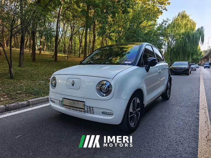 Ora Black Cat 351km Comfort Ternary Lithium - car from China