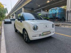 Ora Black Cat 351km Comfort Ternary Lithium - photo 20