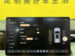Tank 500 New Energy Hi4-T - ფოტო 16