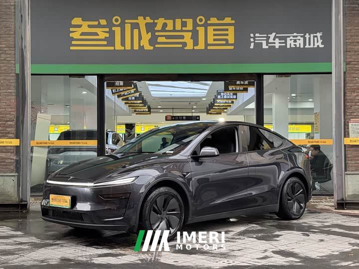 Tesla Model Y Long Range All-Wheel Drive Launch Edition - автомобиль из Китая