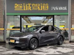 Tesla Model Y Long Range All-Wheel Drive Launch Edition - фото 1