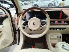 Ora Good Cat 401km Luxury - photo 10