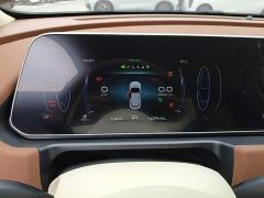 Ora Good Cat 401km Luxury - photo 11