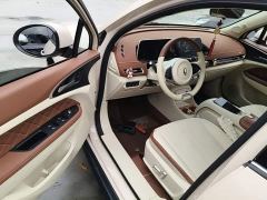 Ora Good Cat 401km Luxury - photo 15