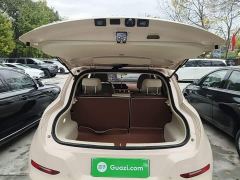 Ora Good Cat 401km Luxury - photo 18