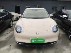 Ora Good Cat 401km Luxury - photo 2