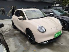 Ora Good Cat 401km Luxury - photo 3
