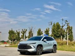BYD Song L DM-i 112km Transcendence - photo 1