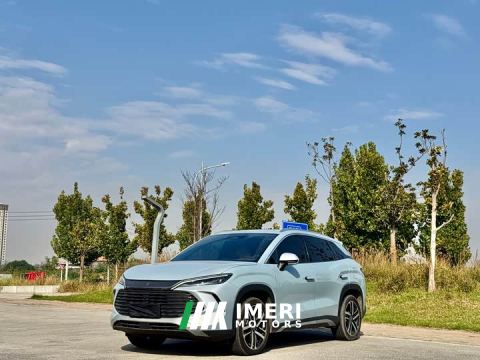 2024 BYD Song L DM-i 112km Transcendence