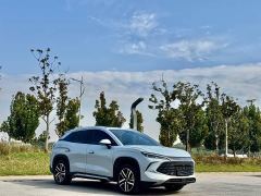BYD Song L DM-i 112km Transcendence - photo 3
